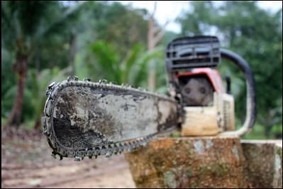 Qualities of good Chainsaw bar oil