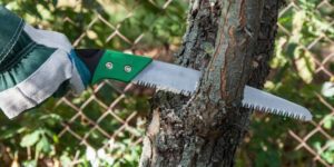 What Is A Pruning Saw